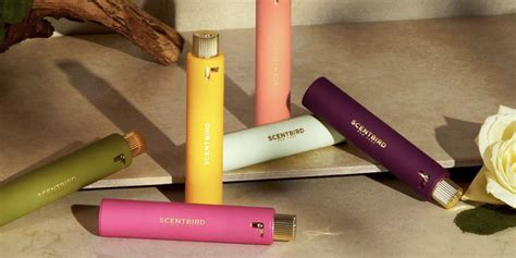 is Scentbird worth it